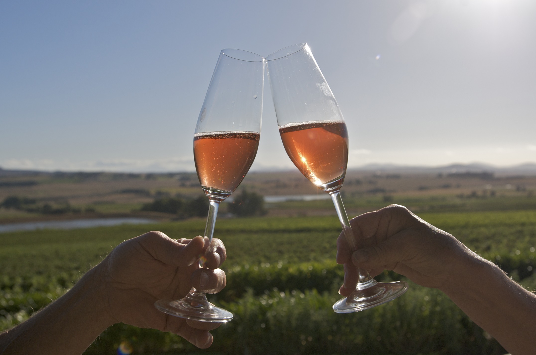African Story Wine Tours